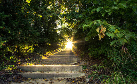The Freedom of Release with QHHT Healing Past Traumas
