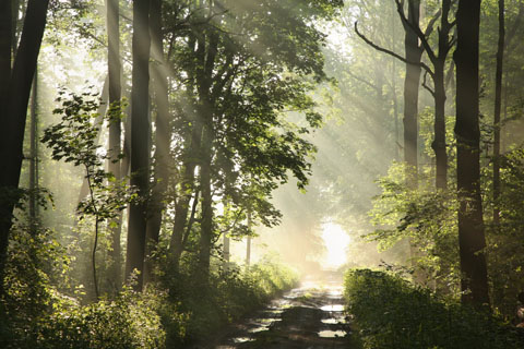 Past Life Regression in Clearwater, Florida