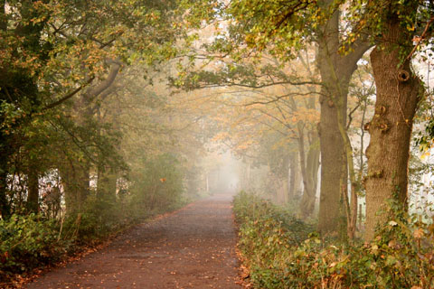 Past Life Regression in Daytona Beach, Florida